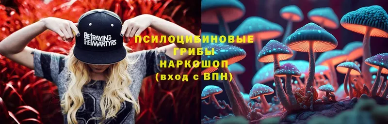 Псилоцибиновые грибы Cubensis  Грязи 